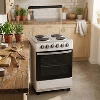 Cuisinière à gaz et électrique avec four, 2 brûleurs, 2 plaques chauffantes, cuisinière de cuisine avec four, plaque de cuisson blanche, appareil de cuisson multifonction