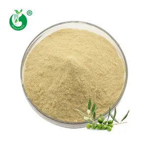 Cas 32619-42-4 Pure Olive Leaf Extract Oleuropein 70%