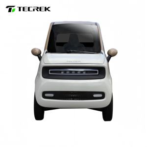 אופניים חשמליים סגורים בעלי 4 גלגלים להובלת נוסעים ומטען, טקרק, מיקרו רכב חשמלי דו-מושבי, 3000 וואט, טווח נסיעה 90 ק\\\"מ - Product Image 4