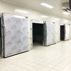 Prefabricated Commercial Walk-in Deep Blast Frozen Cold Storage Room