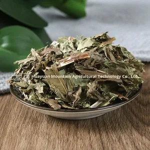 Dragón Jujube agua fragante pequeño orégano Tigre <span class=keywords><strong>fino</strong></span> orégano hierba Peperomia hoja té seco venta al por mayor procesamiento crudo - Product Image 5