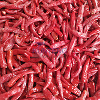 Grootschalige Industriële Uitdroging Machine Voor Fruit En Groenten Chili Peper Paprika Voedsel Droger Dehydrator