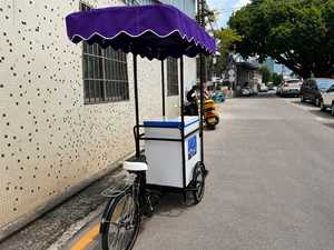 Carrito de Helados Tipo Bicicleta para Venta Ambulante, Estilo <span class=keywords><strong>2022</strong></span>, Tamaño Completo - Product Image 5