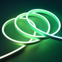 Bande lumineuse LED RGB néon flexible en PVC personnalisée, alimentée par USB, avec télécommande musicale pour la décoration de l'écran de télévision et la maison (compatible Tuya)