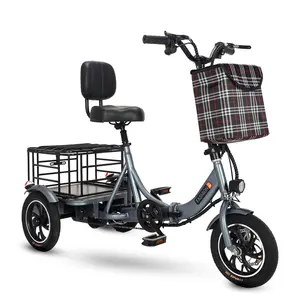 Electric Tribike Hot Sale 14 inch Folding Small Cargo Vehicle Export Electric 3 Wheeler for Adults