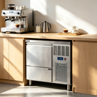 Machine à glaçons commerciale encastrable en acier inoxydable, sans givre, 750W, production de 100 kg par jour, bac à glaçons de 40 kg, machine à glaçons en cubes sous comptoir