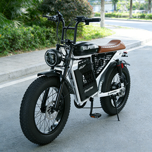 Bicicleta Eléctrica Todoterreno de 500w 48V, Venta Caliente de Fábrica China, Bicicleta Eléctrica de Montaña de 2 Plazas con Neumáticos Anchos - Product Image 1