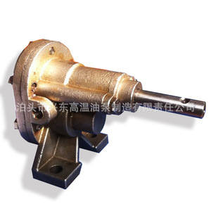 Pompe à engrenages Xingdong en fonte et acier inoxydable 304, surpresseur haute pression pour applications diesel - Product Image 2