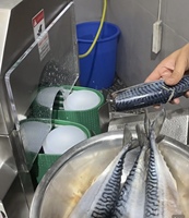 Machine automatique de découpe de la colonne vertébrale de poisson et d'élimination des os centraux pour la production de filets de poisson et de surimi