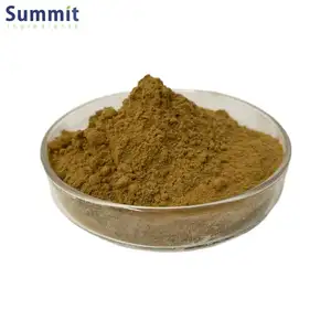 Best Selling Customized 100% Natural Thyme Leaf Extract 10:1 Thyme Extract Powder