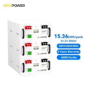 15kWh 분할 랙 마운트 캔 배터리 케이스 DIY 키트 300A BMS DC 차단기 51.2V 300Ah <span class=keywords><strong>LiFePO4</strong></span> 리튬 이온 배터리 박스 홈 솔라 - Product Image 1