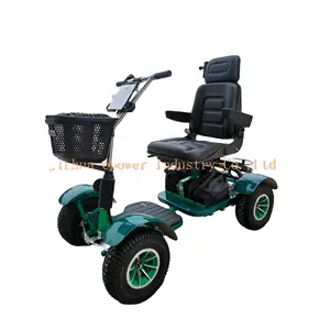 Golf Mobility Scooter-Wagen neuer vollfederungs-Golf-Kopfwagen