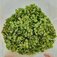 Vente flash - Décoration d'intérieur - Bouquet de fleurs d'hortensia séchées faites à la main - Différentes couleurs - Pour le hall d'hôtel