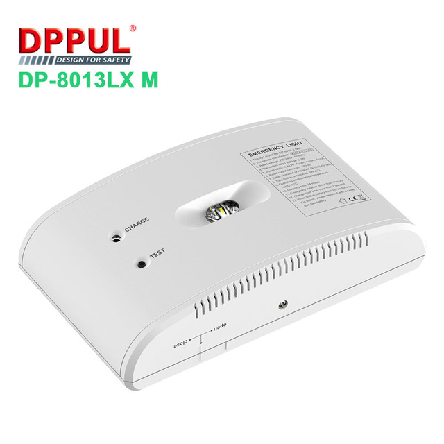 Dpuul Hot Sale Rechargeable Emergency LED IP20 Emergency Corridor Lighting