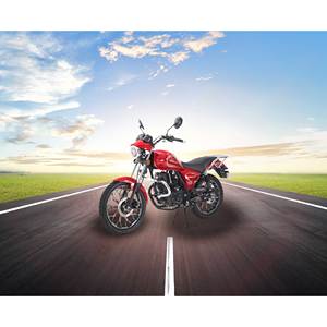 Motocicleta <span class=keywords><strong>Chopper</strong></span> GN125F Tipo Suzukiss de 125cc 150cc Yamahas 100cc, Legal para Carretera, Loncins, para Guatemala, Ecuador, Argentina - Product Image 3