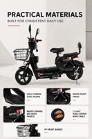 Vélo Électrique Urbain pour Commuter, Batterie au Lithium Amovible en Option, avec Panier Avant, Siège Passager Disponible, E-Bike Adulte