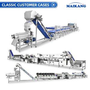 Ligne de production industrielle en acier inoxydable SUS304 à haute capacité pour le lavage des fruits et l'extraction de jus, écoénergétique - Product Image 2