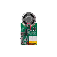 Chip de módulo de música MP3 programable de descarga gratuita USB de aviación ligera para tarjeta de felicitación de caja