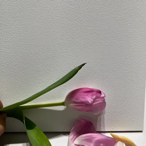 Peinture à base d'eau en pierre naturelle BEXISYA, revêtement liquide acrylique, application par pulvérisation, écologique, résistant aux intempéries, extérieur - Product Image 4