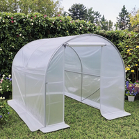 Nouvelle Arrivée Serre Tunnel Extérieure Moderne Écologique en Acier Galvanisé Étanche avec Couverture en PE Facilement Assemblable pour la Maison
