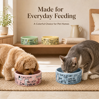 Bol à nourriture pour animaux de compagnie personnalisé et coloré, bol d'alimentation pour chien, chat, lapin avec un imprimé animal mignon pour les fournitures pour animaux de compagnie à domicile