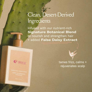 OEM R'ENDASE Signature Conditioner-Hidrata y protege el <span class=keywords><strong>cabello</strong></span>, calma el <span class=keywords><strong>cabello</strong></span> encrespado y bloquea la humedad Promueve un cuero cabelludo saludable 300ml - Product Image 4