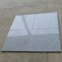 Azulejos de Revestimiento de Pared de Granito Gris Chino G603, Losas y Azulejos de Granito Gris Claro G603 Cortados a Medida