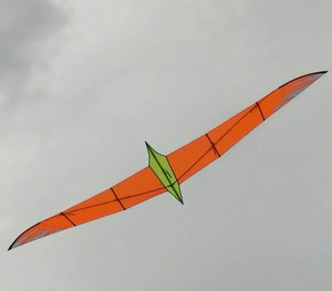 2026 Nuevo Cometa Personalizado de Fábrica, Fácil de Volar, Más Vendido, Grande, Cometa Cuchillo Pájaro 4m - Product Image 3