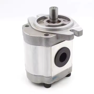 CBHS-FL-316 16 cc/rev usine directe et personnalisable 16 cc/rev pompe à engrenages hydraulique matériel de fonte - Product Image 5