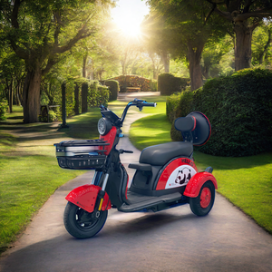 Triciclo <span class=keywords><strong>Elettrico</strong></span> BPA-5 48V 800W Ciclomotore a 3 Ruote per Adulti Moto Slingshot a 3 Ruote per Bambini Aperto 100kg - Product Image 4