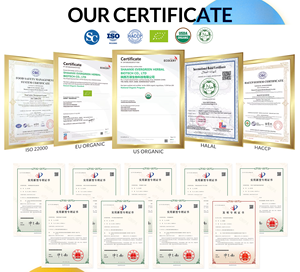 Capsules de soutien du foie OEM formule de réparation détox avec pilule de gueule de bois chardon-Marie - Product Image 3