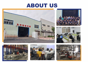 Máquina Procesadora de Frutas Móvil con Banda Transportadora de Poliuretano Resistente al Agua, Línea de Producción de Dátiles, Máquina de Lavado y Clasificación de Dátiles - Product Image 6