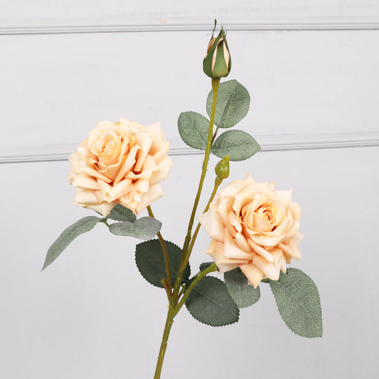 สีเหลือง