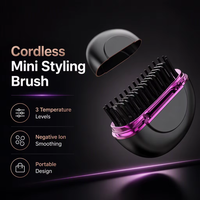 Brosse lissante portable rechargeable sans fil mini pour voyage, maison, salon, extérieur, tous types de cheveux