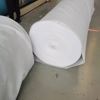 Géotextile non tissé en PP / Polyester / PE de 80g, 100g/m², 120g/m², longueur 50m, léger, pour drainage, filtration et séparation