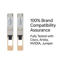 Émetteur-récepteur Skylynn fiable 400GBASE-SR4 QSFP112 MPO 4x112G PAM4 850nm 100m Fibre multimode OM4 pour FTTH et liaison serveur HPC
