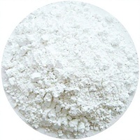 Polvo de Alúmina Gamma Nano, 99.99% de Pureza, D50 Menor a 50nm, Alta Área de Superficie BET, Soporte Catalítico, Polvo de Al2O3 Gamma
