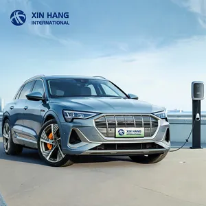 2022 Q5 e-tron星辰版SUV 560千米5电动车新能源汽车汽车电动车