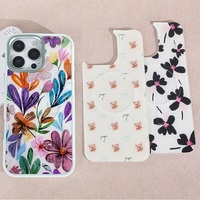 Coque de téléphone interchangeable magnétique avec panneau arrière doré pour iPhone 17/17 Pro/17 Pro Max, motif floral coloré
