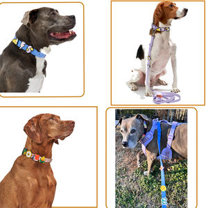Anpassbares Dekoratives Zubehör Wasserdichtes Beschichtetes Silikon-Haustier-PVC-Hundehalsband und Leinenset mit Verschiedenen Stilanhängern - Product Image 6