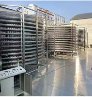 Tour de refroidissement spirale de haute qualité avec convoyeur à bande en maille d'acier inoxydable pour pâtisseries et aliments surgelés