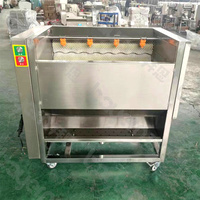 Maniokgroenten En Fruit Automatische Industriële Aardappel Gember Lotuswortel Papaja Zoete Aardappel Was-En Schilmachine