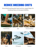 Nouvelle machine à granulés d'aliments électriques Baichuan pour usage domestique, élevage, haute productivité, tailles de granulés personnalisables, moutons, vaches, poissons, lapins