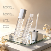 Contenants transparents personnalisés pour gloss à lèvres avec bouchon à vis en PET, emballage cosmétique à estampage à chaud, tubes vides