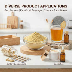 Poudre d'extrait de ginseng à haute puissance avec ginsénosides 10:1 20:1 1kg pour toniques et produits de santé de qualité alimentaire - Product Image 5