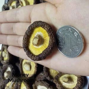 Kuzeydoğu Çin'den Kuru <span class=keywords><strong>Shiitake</strong></span> Mantarı, Komluk Ağacından Yetiştirilmiş, 1 kg, Çorba ve Güveç İçin Gıda Sınıfı - Product Image 5