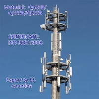 Torre Monopolo de Telecomunicaciones Galvanizada en Caliente con Escalera Interna y Plataforma, Suministro de Fábrica