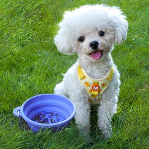 Bpa Free Silicone Anti-soffocamento Pet alimentazione lenta ciotola cane o gatto lento alimentatore ciotole di cibo - Product Image 5