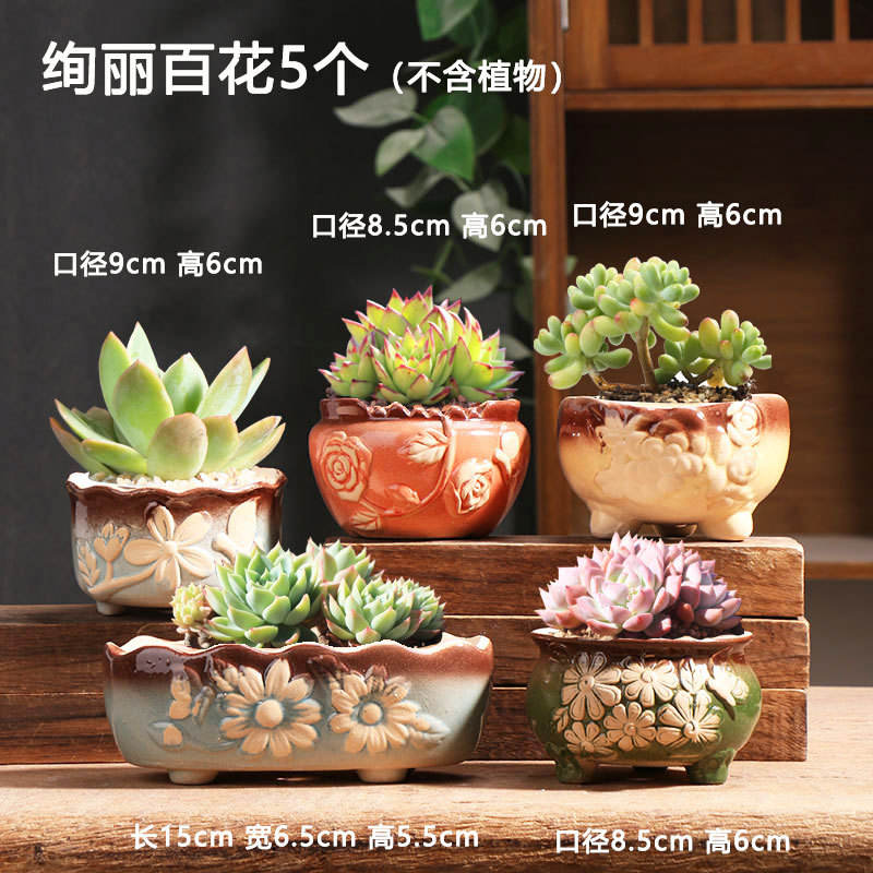 BLEU-5 fleurs splendides