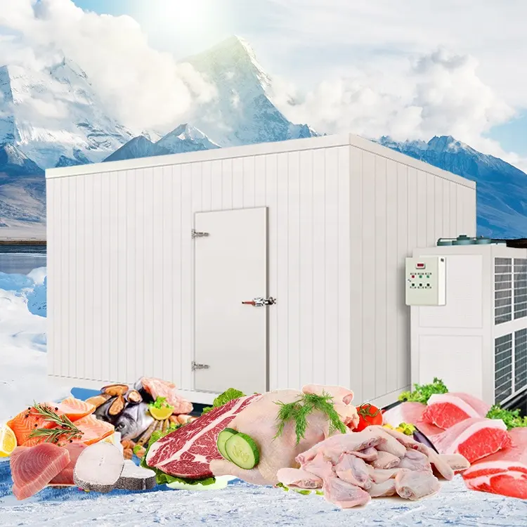 Quick Room Cold Storage Chamber For Frozen Chicken